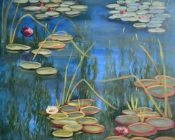 Les nymphéas 2