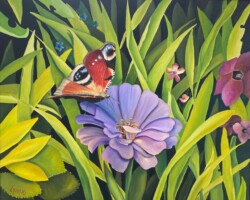 Papillon paon